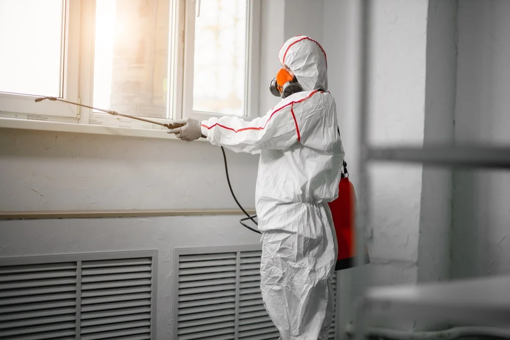 Professional mold remediation services in Leicester, MA